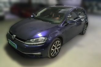 大众 高尔夫 2018款  230TSI 自动豪华型