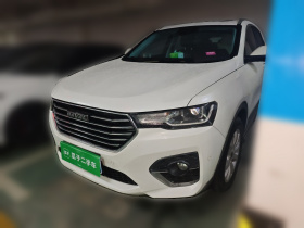 哈弗H4 2018款 蓝标 1.5GDIT DCT风尚型