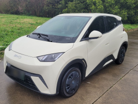 比亚迪 海鸥 2025款 305km 活力版