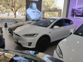特斯拉 Model X 2019款 长续航版