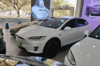 特斯拉 Model X 2019款 长续航版