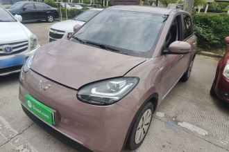 五菱汽车 五菱缤果 2023款 333km 快享款