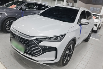 比亚迪 唐新能源 2024款 DM-i 荣耀版 112KM 尊贵型