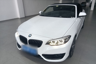 宝马2系(进口) 2019款 225i 敞篷轿跑车 运动设计套装