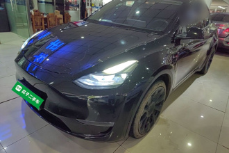 特斯拉 Model Y 2021款 标准续航后驱版