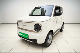 吉利银河 2023款 熊猫mini 200km 耐力熊