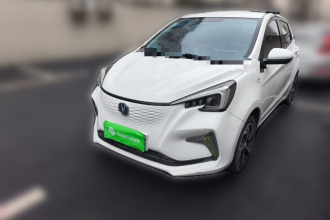 长安 奔奔E-Star 2020款 心动版 三元锂