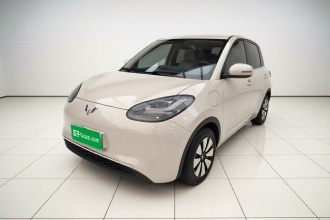 五菱汽车 五菱缤果 2024款 333km 悦享款