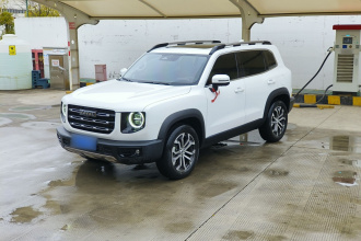 哈弗大狗 2022款 1.5T DCT两驱边牧版