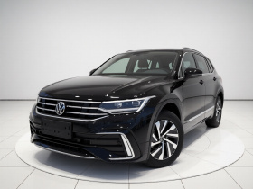 大众 途观L新能源 2023款 430PHEV 插电混动尊贵版