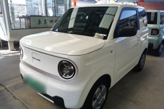 吉利银河 2023款 熊猫mini 120km 超萌熊