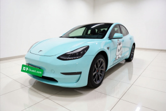特斯拉 Model 3(进口) 2019款 长续航后驱版