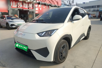 比亚迪 海鸥 2025款 智驾版 305km 活力版