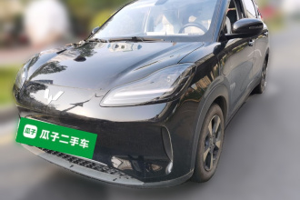 五菱汽车 五菱缤果PLUS 2024款 510km 旗舰版 四座版
