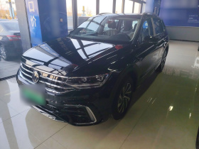 大众 途观L新能源 2023款 430PHEV 插电混动尊贵版