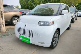 欧拉白猫 2020款 305km 豪华型