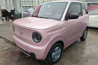 吉利银河 2024款 改款 熊猫mini 200km 龙腾版