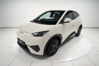 比亚迪 海鸥 2025款 智驾版 305km 活力版