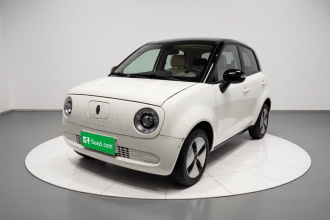 欧拉黑猫 2021款 301km 基础型