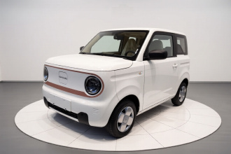 吉利银河 2024款 熊猫mini 200km 耐力熊