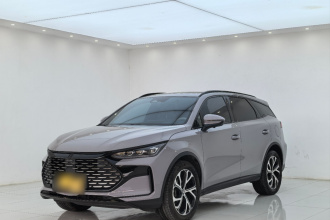 比亚迪 唐新能源 2025款 DM-i 115KM 尊荣型