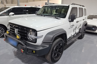 坦克300 2021款 越野版 2.0T 征服者