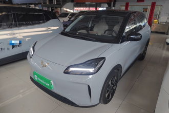 五菱汽车 五菱缤果PLUS 2024款 510km 旗舰版 四座版