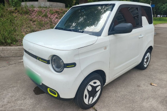 吉利银河 2025款 熊猫mini 210km 元气熊