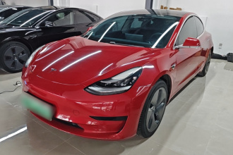 特斯拉 Model 3 2020款 改款 标准续航后驱升级版