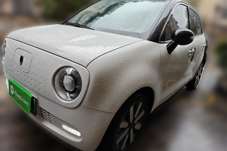 欧拉黑猫 2019款 351km 亲子版