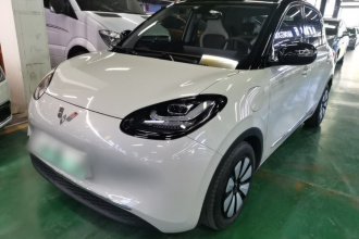 五菱汽车 五菱缤果 2023款 333km 灵犀互联+款