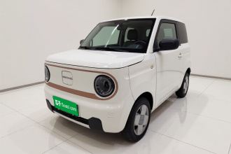吉利银河 2024款 熊猫mini 200km 耐力熊