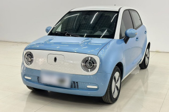 欧拉黑猫 2021款 301km 基础型