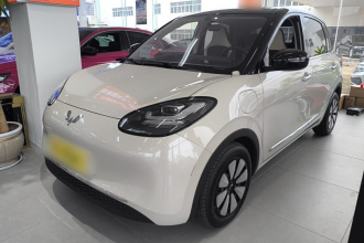 五菱汽车 五菱缤果 2024款 333km 悦享款