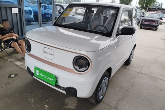 吉利银河 2024款 熊猫mini 200km 耐力熊