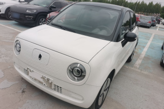 欧拉黑猫 2021款 301km 基础型