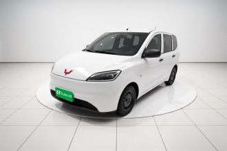 五菱汽车 五菱宏光新能源 2024款 纯电版 300KM 实用型