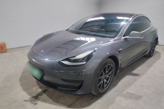 特斯拉 Model 3 2020款 标准续航后驱升级版