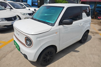 吉利银河 2024款 熊猫mini 200km 耐力熊