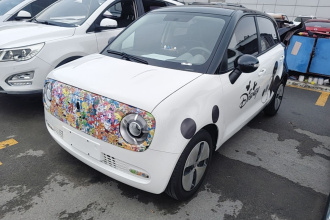 欧拉黑猫 2021款 301km 萌宠版