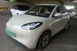 五菱汽车 五菱缤果 2024款 333km 悦享款