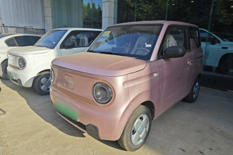 吉利银河 2024款 熊猫mini 200km 耐力熊
