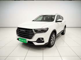 哈弗H6 2021款 国潮版 1.5T 自动冠军版