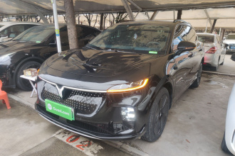 岚图汽车 岚图知音 2024款 四驱全球版