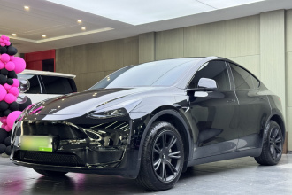 特斯拉 Model Y 2023款 长续航全轮驱动版