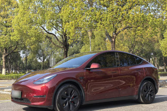 特斯拉 Model Y 2024款 长续航全轮驱动版