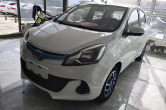 长安 奔奔EV 2019款 EV360 标准型