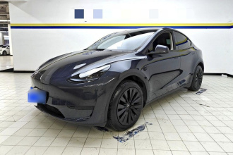 特斯拉 Model Y 2024款 后轮驱动版