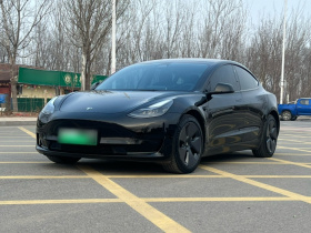 特斯拉 Model 3 2021款 标准续航后驱升级版 3D6