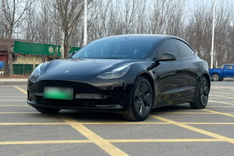 特斯拉 Model 3 2021款 标准续航后驱升级版 3D6